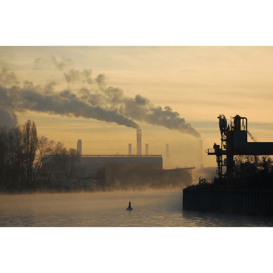 Cómo medir la huella de carbono: paso crucial para la sostenibilidad - Grün