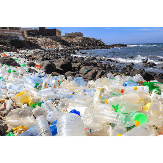 Los 10 países que contribuyen más a la basura plástica en los océanos - Grün